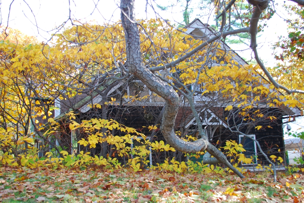 DSC_4847.JPG